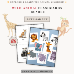 Make learning about animals fun for kids! Includes beautifully illustrated farm, jungle, and wild animal flashcards. Perfect for homeschooling and early learning!